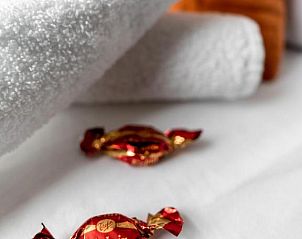 Verblijf 104923 - Vakantie appartement Noord-Holland midden - Wolf Hotel Kitchen & Bar