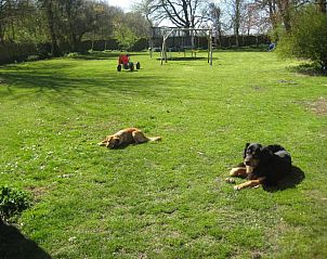 Grote tuin met speelruimte bij Bed & Breakfast Zeeland, Noordwelle, ideaal voor kinderen.
