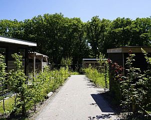 Unterkunft 110506 - Ferienhaus Langweerderwielen - «Op'e Pleats 1»