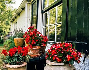 Vakantiehuis FR421 in Terherne, omgeven door bloeiende tuin.
