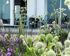 Guest house 120718 - Holiday property Sneekermeer - Vakantiehuisje in Offingawier