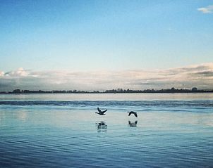 Guest house 120718 - Holiday property Sneekermeer - Vakantiehuisje in Offingawier