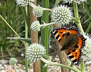 Guest house 120718 - Holiday property Sneekermeer - Vakantiehuisje in Offingawier