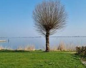 Natuurlijke omgeving bij Vakantiehuisje in Offingawier, serene vakantiewoning aan Friese meren.