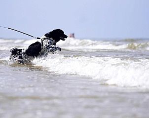 Verblijf 130302 - Vakantie appartement Terschelling - Paal 8 Hotel aan Zee