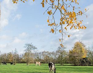 Unterkunft 130305 - Ferienhaus Bergumermeer - Huisje in Sumar