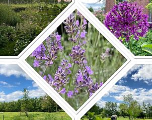 Unterkunft 130314 - Ferienhaus Bergumermeer - Vakantiehuis in Sumar