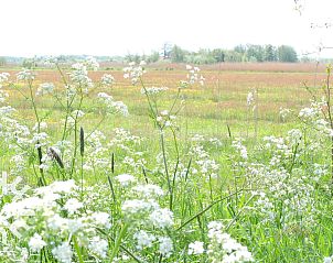 Guest house 140109 - Holiday property Princehof/Alde feanen - FR285