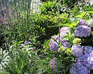 Guest house 140109 - Holiday property Princehof/Alde feanen - FR285