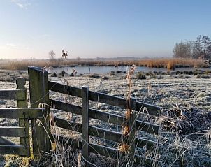 Guest house 140125 - Holiday property Princehof/Alde feanen - Huisje in Eernewoude