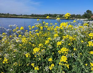 Terras met uitzicht op het water bij vakantiehuis FR404 in Earnewld, Princehof/Alde Feanen.