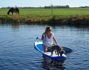 Guest house 140303 - Holiday property Princehof/Alde feanen - Huisje in De Veenhoop