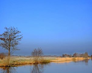 Guest house 140303 - Holiday property Princehof/Alde feanen - Huisje in De Veenhoop