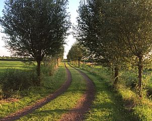 Guest house 140303 - Holiday property Princehof/Alde feanen - Huisje in De Veenhoop