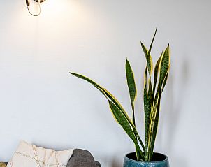 Verblijf 140307 - Vakantiewoning Princehof/Alde feanen - Vakantiehuis Natuurlijk de Veenhoop