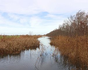 Verblijf 140323 - Vakantiewoning Princehof/Alde feanen - Vakantiehuis in De Veenhoop