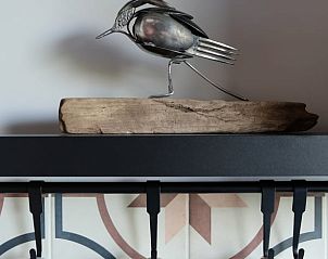 Guest house 140347 - Holiday property Princehof/Alde feanen - Huisje in De Veenhoop