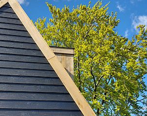 Guest house 140347 - Holiday property Princehof/Alde feanen - Huisje in De Veenhoop