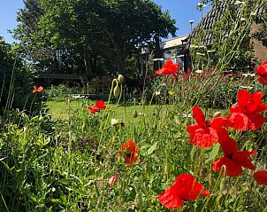 Bloementuin bij Hotel De Horper Wielen, Kaard, Terschelling, vakantieaccommodatie.