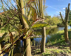 Guest house 1605103 - Holiday property Lauwersmeer - Vakantiehuis 162 Grachthaus
