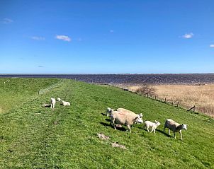 Guest house 1605103 - Holiday property Lauwersmeer - Vakantiehuis 162 Grachthaus
