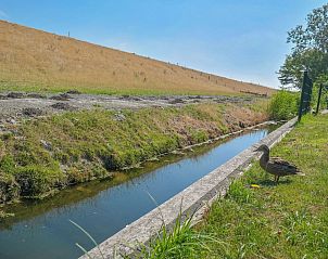 Guest house 1605111 - Holiday property Lauwersmeer - Vakantiehuis 158 Schafssicht