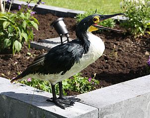 Unterkunft 160524 - Ferienhaus Lauwersmeer - Vakantiehuis Haus Kormoran am Lauwersmeer