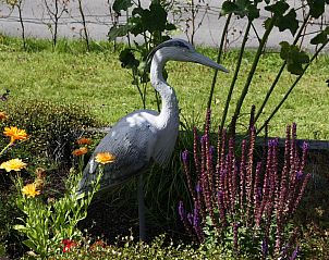 Guest house 160552 - Holiday property Lauwersmeer - Vakantiehuis Haus Reiher am Lauwersmeer