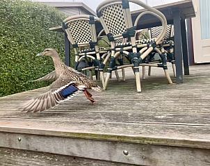 Guest house 160585 - Holiday property Lauwersmeer - Vakantiehuis Valentina