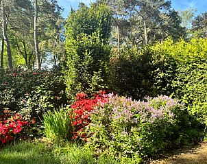 Unterkunft 170107 - Ferienhaus Midden Drenthe - Vakantiehuis in Spier
