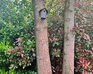 Unterkunft 170107 - Ferienhaus Midden Drenthe - Vakantiehuis in Spier