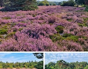 Unterkunft 170109 - Ferienhaus Midden Drenthe - Vakantiehuisje in Spier