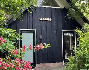 Guest house 170110 - Holiday property Midden Drenthe - Kipelo Cottage