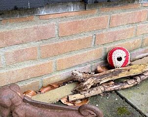 Guest house 170110 - Holiday property Midden Drenthe - Kipelo Cottage