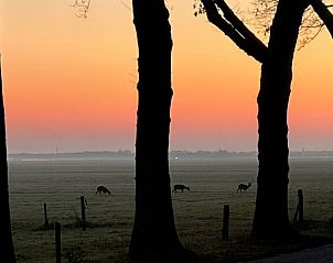 Guest house 170110 - Holiday property Midden Drenthe - Kipelo Cottage