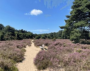 Guest house 170110 - Holiday property Midden Drenthe - Kipelo Cottage