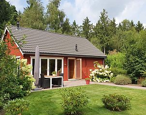 Groene tuin en terras van Huisje in Spier, vakantiehuis in Midden Drenthe, biedt een ontspannen natuurlijke omgeving.