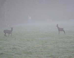 Verblijf 170112 - Vakantiewoning Midden Drenthe - Huisje in Spier
