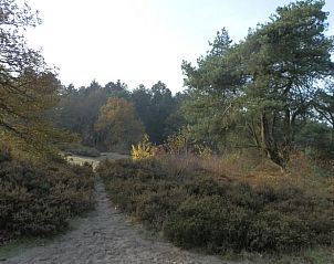 Verblijf 170112 - Vakantiewoning Midden Drenthe - Huisje in Spier