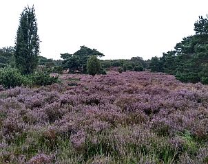 Unterkunft 170113 - Ferienhaus Midden Drenthe - DG1852