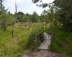 Unterkunft 170113 - Ferienhaus Midden Drenthe - DG1852