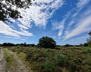 Unterkunft 170113 - Ferienhaus Midden Drenthe - DG1852