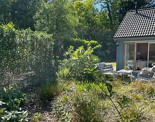 Natuurrijke omgeving van DG1871, vakantiehuis in Spier, Midden Drenthe met groene bomen.