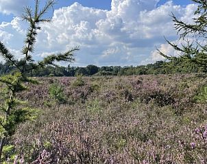 Unterkunft 170115 - Ferienhaus Midden Drenthe - Vakantiehuis in Spier