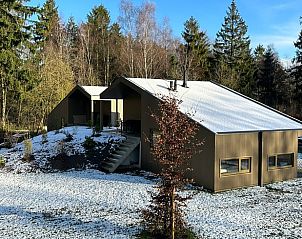 Vakantiehuisje in Spier tijdens de winter, bedekt met een laagje sneeuw in de Drentse bossen.