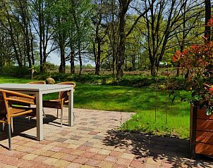 Terras van Huisje in Spier met uitzicht op groene omgeving in Drenthe.