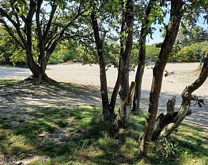 Omgeving van Huisje in Spier met bomen en open ruimte in Drenthe.