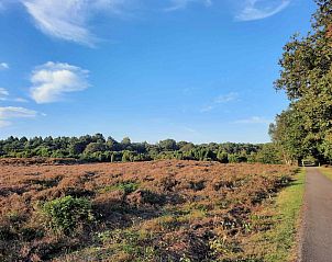 Badkamer in DG1552 vakantiehuis, Spier, Drenthe, met uitzicht op de groene natuur.