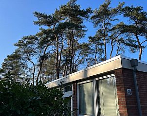 Prachtige buitenkant van Huisje in Spier, gelegen in de groene omgeving van Midden Drenthe, Drenthe.