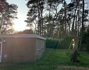 Rustige omgeving van Huisje in Spier, een vakantiehuis in Midden Drenthe, Drenthe, omgeven door groen.